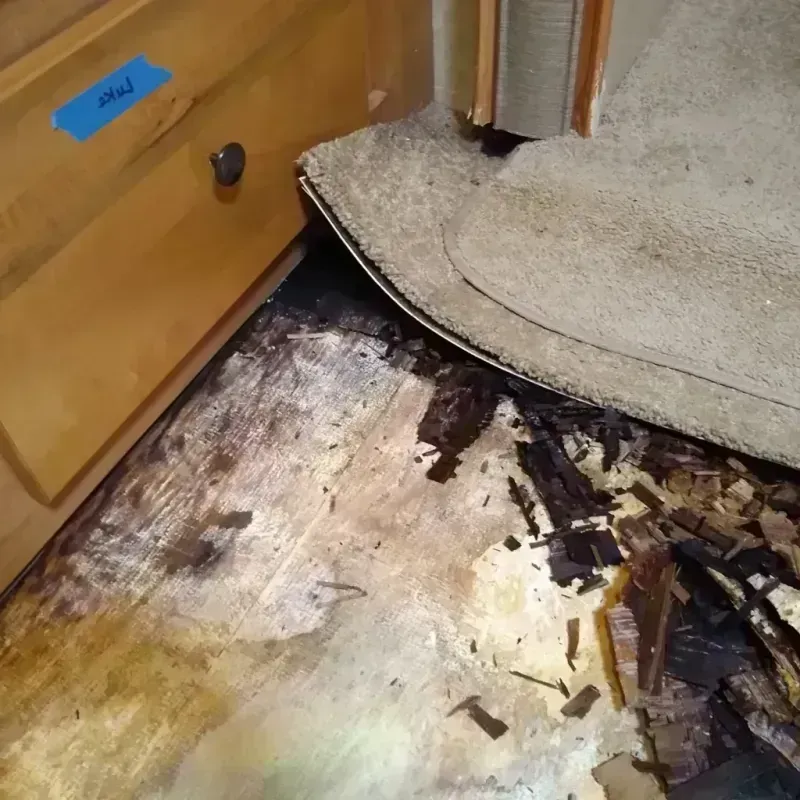 Wood Floor Water Damage in Manhattan, NY